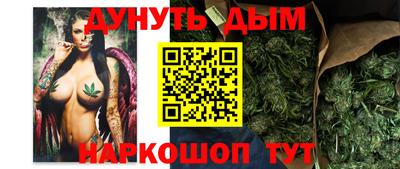 прущие грибы Гатчина