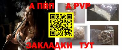 прущие грибы Гатчина