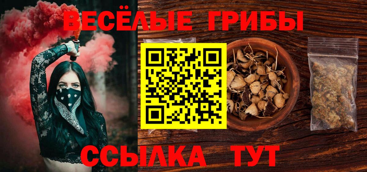 Псилоцибиновые грибы прущие грибы  Вход с VPN  Свободный 